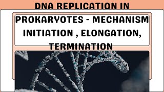 DNA Replication in Prokaryotes  Part 2 Mechanism of Replication Csirnet Gate IIT JAM CUET PG [upl. by Dnaltroc]