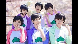 Osomatsusan おそ松さん CMV  quotCherry Blossomsquot [upl. by Nyrak]