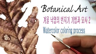 Botanical Art낙엽 반쪽 작업 풀 영상 배속 없이 지루할까요 하지만 여러 번 자세히 보면 기법이 보여요 Watercolor 수채화 botanicalart [upl. by Becca320]