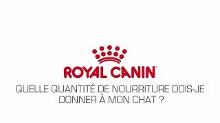 Quelle quantité de nourriture doisje donner à mon chat [upl. by Halda88]