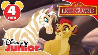 The Lion Guard  La zebra non ha più acqua  Disney Junior Italia [upl. by Wehttan827]