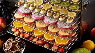 Top 5 BEST FOOD DEHYDRATORS  Top 5 Food Dehydrators  Top 5 Dehydrators Review [upl. by Salim797]