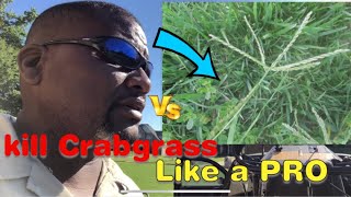 How to Get Rid of Crabgrass 4 Easy Steps [upl. by Osswald]