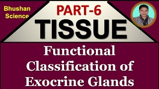 Part 6  Tissue Level of Organization  Functional Classification  Exocrine Glands Hindi BPharm [upl. by Yerhcaz]