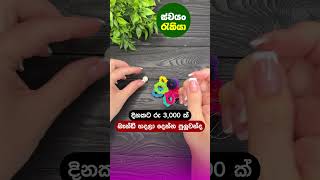 swayan rekiya 2024 ස්වයං රැකියා Swayan Rakiya at Home Job vacancy Sinhala 2024 [upl. by Ramses]