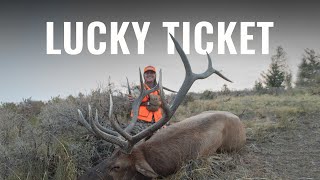 LUCKY TICKET  Utah Rifle Elk Hunt [upl. by Tarr172]