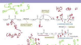 Organic Chemistry II Chapter 17 part 7 Malonic Ester and Acetoacetic Ester Synthesis [upl. by Noyr250]