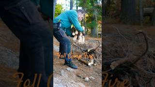 A Beautiful Fall Backcountry Campfire Click Below for Full Adventure getoutside solocamping canoe [upl. by Misaq858]