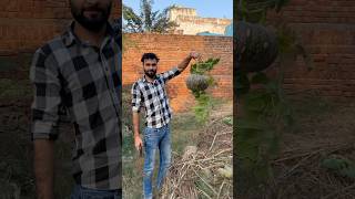 Aaj iss kaddu naamak bla ko mere gle se nikala🎃🔪minivlog dailyshorts shorts family familylove [upl. by Akahs]