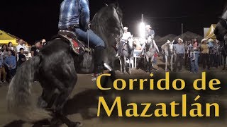 4 Caballos Bailadores en Mazatlan [upl. by Yttisahc177]