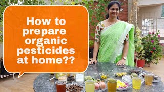 How to prepare organic pesticides at homeఇంట్లోనే ఆర్గానిక్ పురుగుల మందులు తయారు చేసుకోవడం ఎలాdiy [upl. by Renckens]