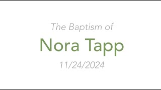 Nora Tapp 112424 [upl. by Sackville360]