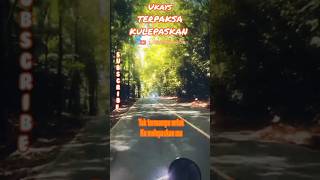 Ukays Terpaksa ku lepaskan music lagu lagumalaysia trending shorts youtubeshorts hits [upl. by Ahsenauq106]