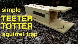 How to Make ● a Simple HUMANE TEETERTOTTER Squirrel Trap [upl. by Acissej]