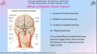 MNRI® A Spark of Hope for Hypoxic Brain Injuries [upl. by Coppock]