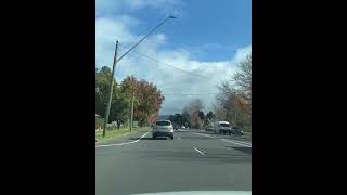 Drive to Bowral from Sydney  Autumn May 2024 [upl. by Anihsat]