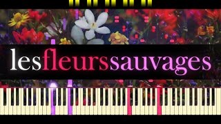 Les Fleurs Sauvages  RICHARD CLAYDERMAN [upl. by Mercedes]