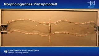 Morphologisches Prinzipmodell [upl. by Aicilihp]