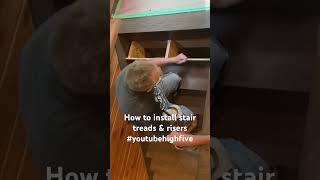 How To Install Stair Treads amp Risers carpenter carpentry woodworking youtube youtubeshorts [upl. by Letsou]