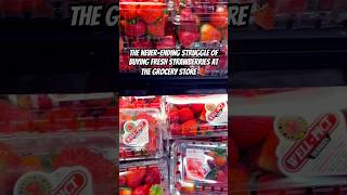 Buying strawberries at the grocery store be like 😱🍓🍓🍓 strawberries comedy funnyshorts [upl. by Ylahtan]