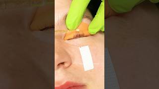 Lash lift tutorial shortsyoutubeshortsyoutubcreator beautifulbeautylashes eyelashestutorial [upl. by Irena]