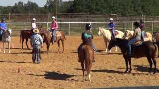 Feeling and Controling the Horses Feet by Dauphin Horsemanship [upl. by Heeley]