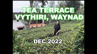 Tea Terrace Vythiri Wayanad Kerala  Dec 2022  Under 5 Mins Tour [upl. by Eniruam]