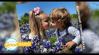 quotBluebonnet Sonnet of Texasquot celebrates bluebonnets flowers in bloom Something Good Radio [upl. by Asirram]