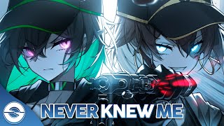 Nightcore  Never Knew Me Lyrics [upl. by Atekin]