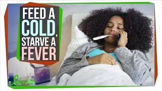 Should You Really Feed a Cold Starve a Fever [upl. by Domel]