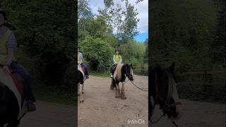 Saturday trekking colouredcob horse horseriding [upl. by Alves]