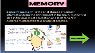 Memory স্মৃতি Type of Memory definition of memory paper 213 MEd 41 [upl. by Alhak]