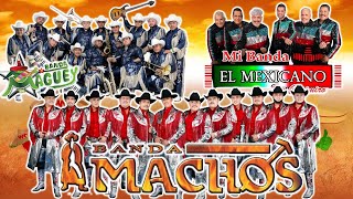 Banda Machos Maguey y El Mexicano  Bandas Viejitas Pero Bonitas Mix Romanticas [upl. by Elnukeda]