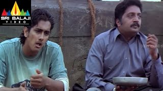 Nuvvostanante Nenoddantana Movie Prakashraj Scene  Siddharth Trisha  Sri Balaji Video [upl. by Atnwahsal]