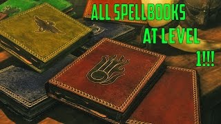 Skyrim Special Edition Guide How to get All Vendor Spells at Level 1 [upl. by Ijuy101]