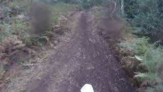 Track n Trail Lytchett Estate Enduro Practice 16923 Part 7 [upl. by Betthel]