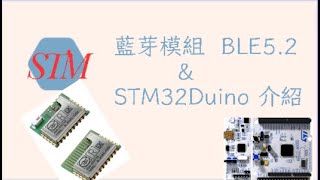 藍芽 BLE 52  STM32 BlueNRG2 藍芽模組  STM32Duino 開發板 [upl. by Novahc]