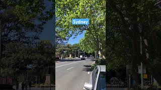 Looking towards the Archibald Fountain Macquarie Street sydney sydneycbd [upl. by Anegroeg334]