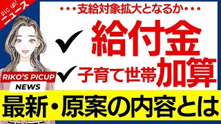 【速報】低所得者給付、子育て世帯は加算自民・公明・国民民主３党、総合経済対策巡り初の協議国民民主が賃上げ支援策など１５項目の追加要望 [upl. by Subir]