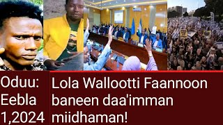 Oduu Eebla 12024Daaimman Wallootti Faannoon rukutaman yaala hin argatin jiran [upl. by Rudy]