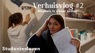 ZELF EEN KAST IN ELKAAR ZETTEN  Verhuisvlog 2 [upl. by Shae293]