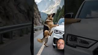 German Shepherd ne jan ￼ Bachaishortvideo [upl. by Levram]