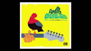 Cumbias Chichadélicas  Peruvian Psychedelic Chicha Infopesa Disco Completo  Full Album [upl. by Capps]