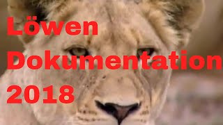 Das leben von Löwen Dokumentation 2018 NEU🐯 [upl. by Faustus]