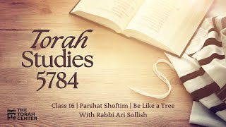 Torah Studies 5784  16  Shoftim Be Like a Tree  Rabbi Ari Sollish [upl. by Htebezile]