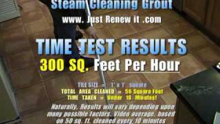 CLEAN GROUT WITH A STEAM CLEANER  VAPOR STEAM CLEANER how fast TRAINING VIDEO [upl. by Jessalin198]