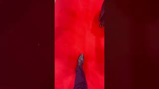 My first Red Carpet Walk [upl. by Harvey]