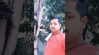 Toone Dil Raki song hindisong shortvideo oon [upl. by Winters]