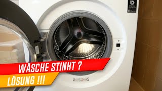 Waschmaschine reinigen Waschmaschine stinkt Wäsche stinkt nach waschen müffelt  was tun [upl. by Trust]