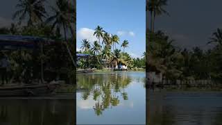 Kuttanad alappuzha alappuzhakaran kuttanadanpunjayile kuttanad kuttanadan nature fish 🇳🇿🇳🇿🇳🇿 [upl. by Nahoj798]